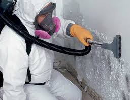 Best Mold Odor Removal Services  in Sahuarita, AZ